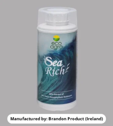 Sea Rich