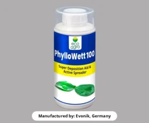 Phyllowatt