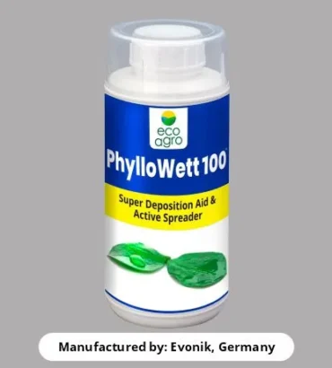 Phyllowatt